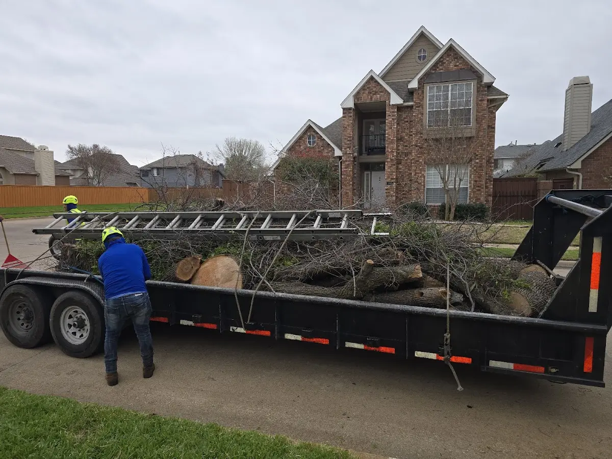 Expert Tree Fertilization with proper safety equipment in Amelia Court House